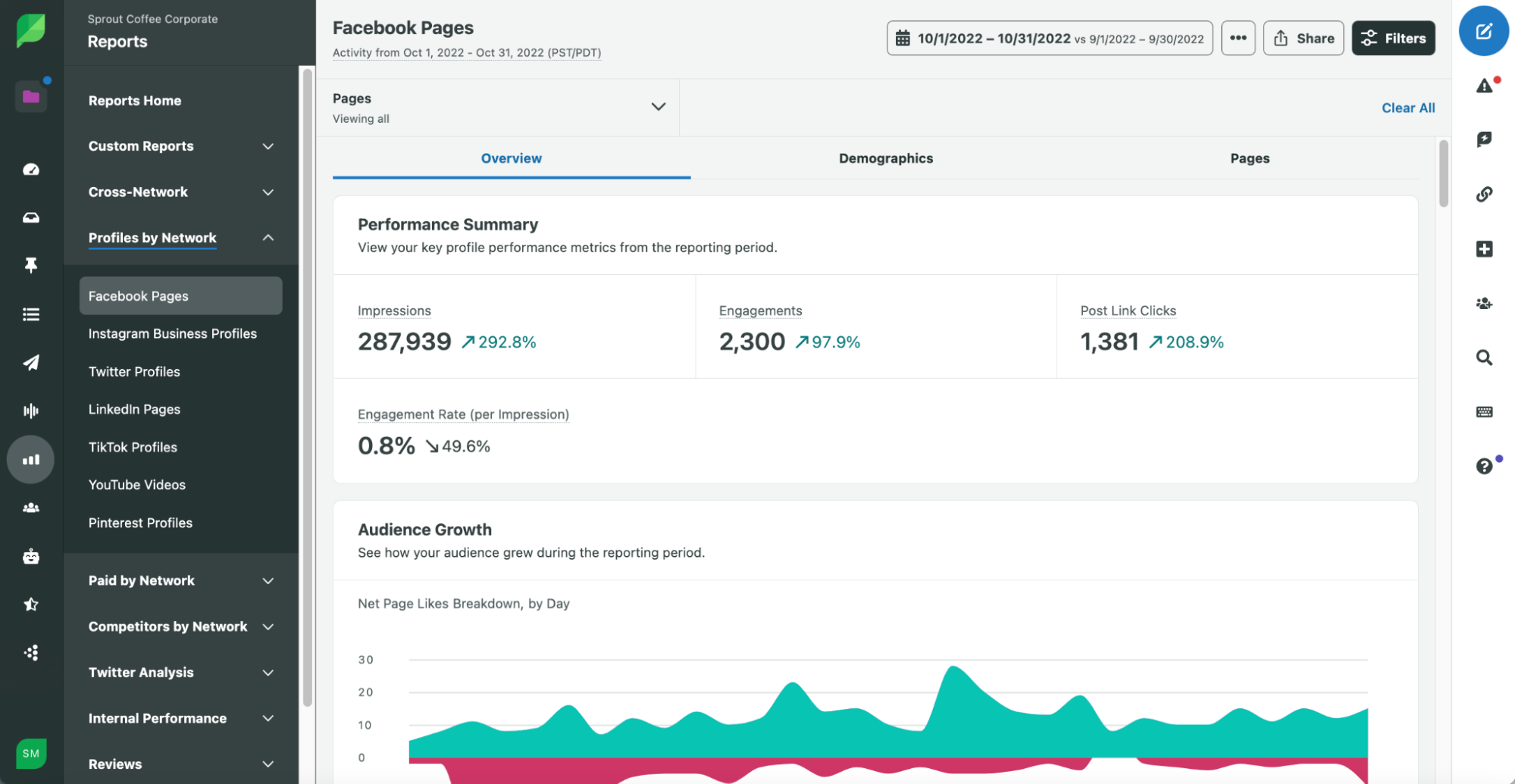 Facebook pages report